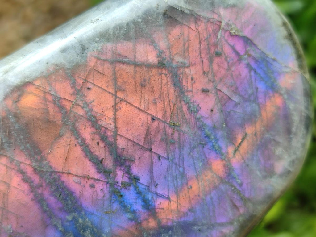 Polished Rare Purple Sunset Flash Labradorite Standing Free Forms x 3 From Madagascar