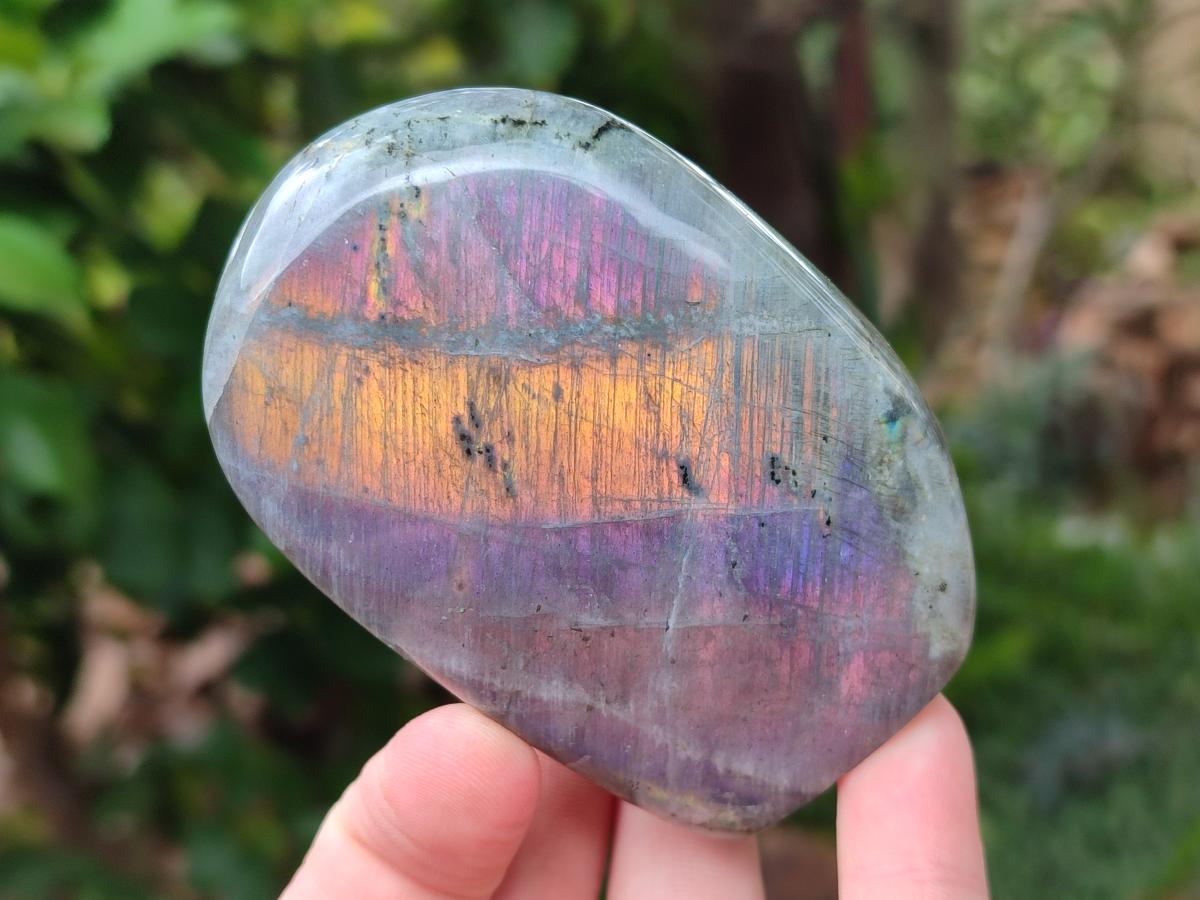 Polished Rare Purple Sunset Flash Labradorite Standing Free Forms x 3 From Madagascar