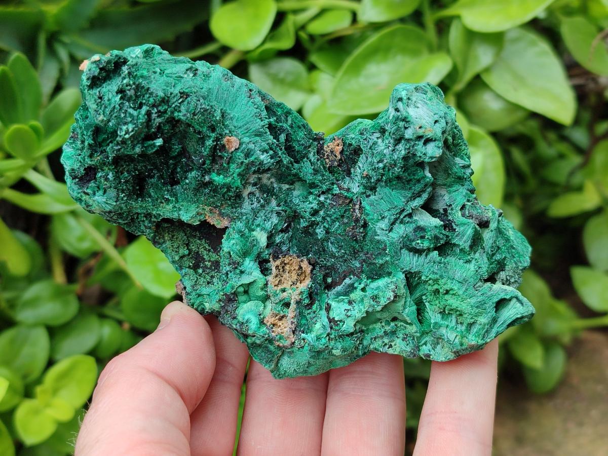 Natural Silky Malachite Specimens x 4 From Kasompe, Congo