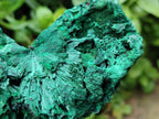 Natural Silky Malachite Specimens x 4 From Kasompe, Congo