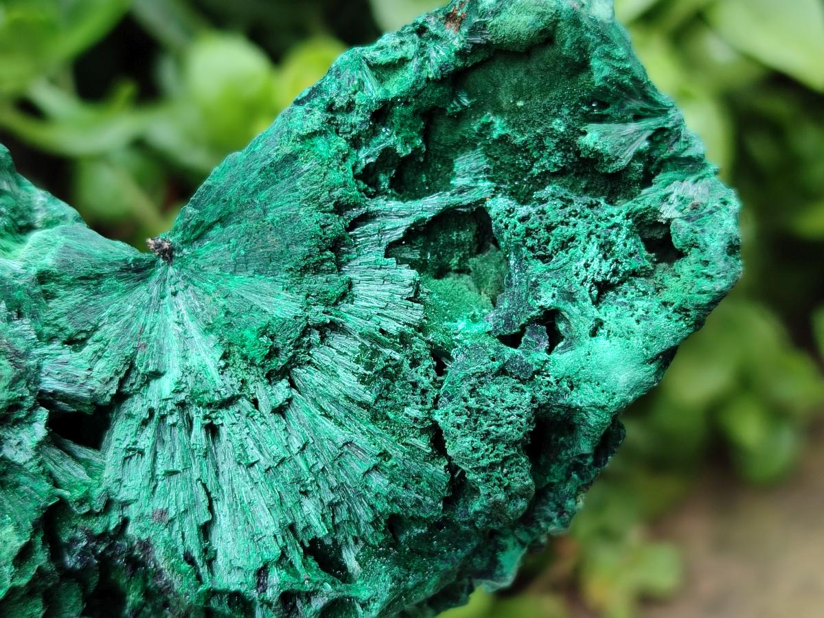 Natural Silky Malachite Specimens x 4 From Kasompe, Congo