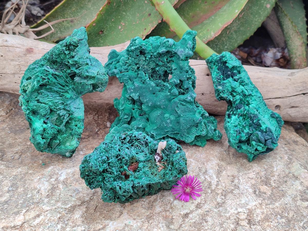 Natural Silky Malachite Specimens x 4 From Kasompe, Congo