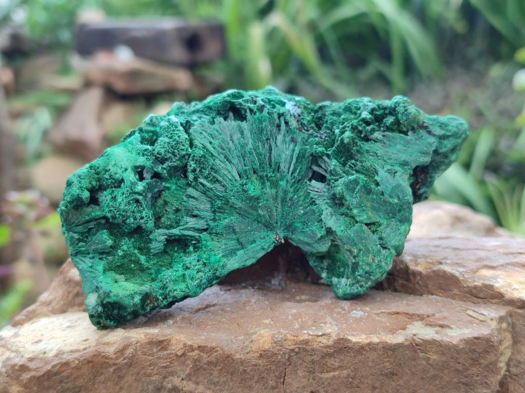 Natural Silky Malachite Specimens x 4 From Kasompe, Congo