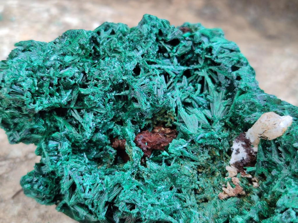 Natural Silky Malachite Specimens x 4 From Kasompe, Congo