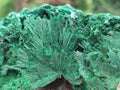 Natural Silky Malachite Specimens x 4 From Kasompe, Congo