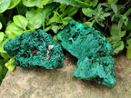 Natural Silky Malachite Specimens x 4 From Kasompe, Congo