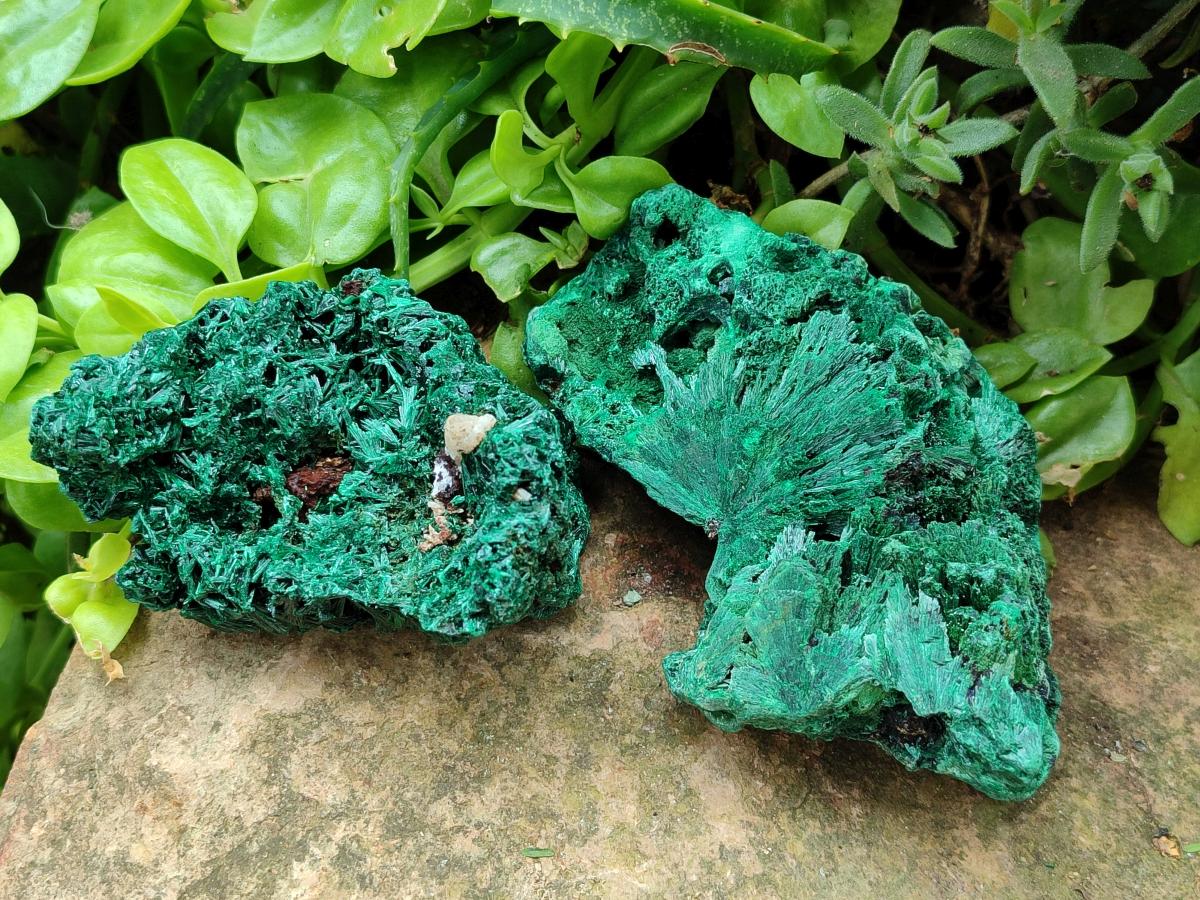Natural Silky Malachite Specimens x 4 From Kasompe, Congo