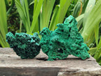 Natural Silky Malachite Specimens x 4 From Kasompe, Congo