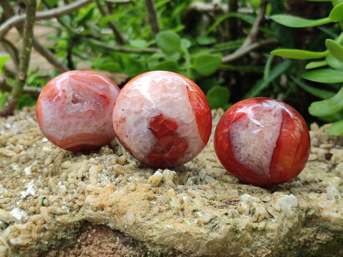 Polished Carnelian Agate Gemstone Galets x 20 From Madagascar