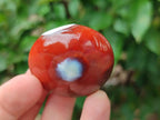 Polished Carnelian Agate Gemstone Galets x 20 From Madagascar