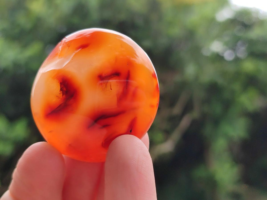Polished Carnelian Agate Gemstone Galets x 20 From Madagascar