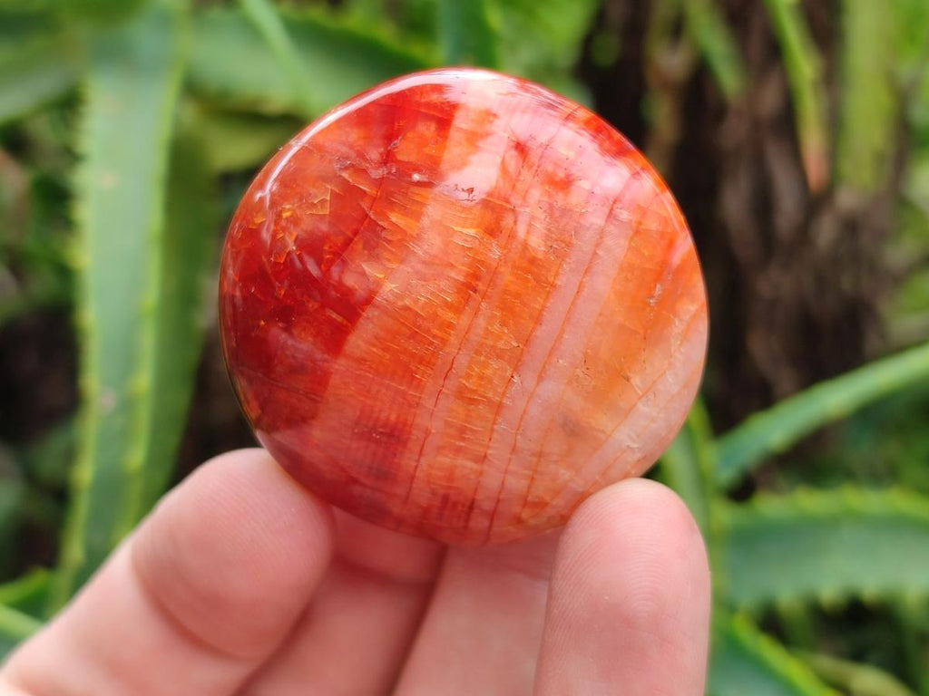 Polished Carnelian Agate Gemstone Galets x 20 From Madagascar