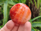 Polished Carnelian Agate Gemstone Galets x 20 From Madagascar