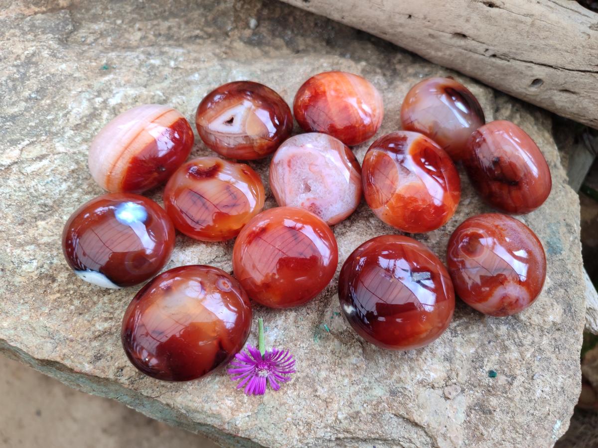 Polished Carnelian Agate Gemstone Galets x 20 From Madagascar