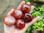Polished Carnelian Agate Gemstone Galets x 20 From Madagascar
