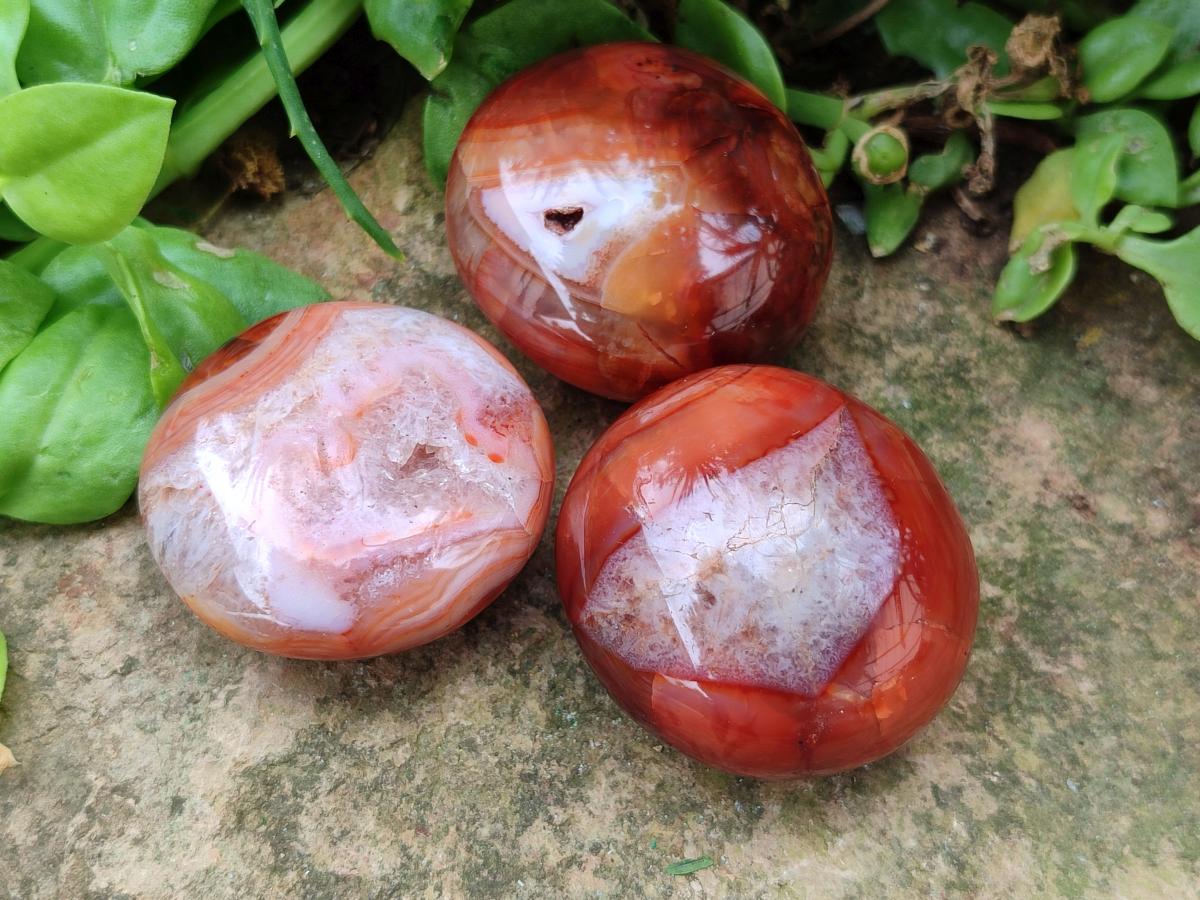 Polished Carnelian Agate Gemstone Galets x 20 From Madagascar