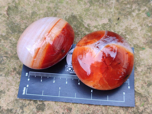 Polished Carnelian Agate Gemstone Galets x 20 From Madagascar