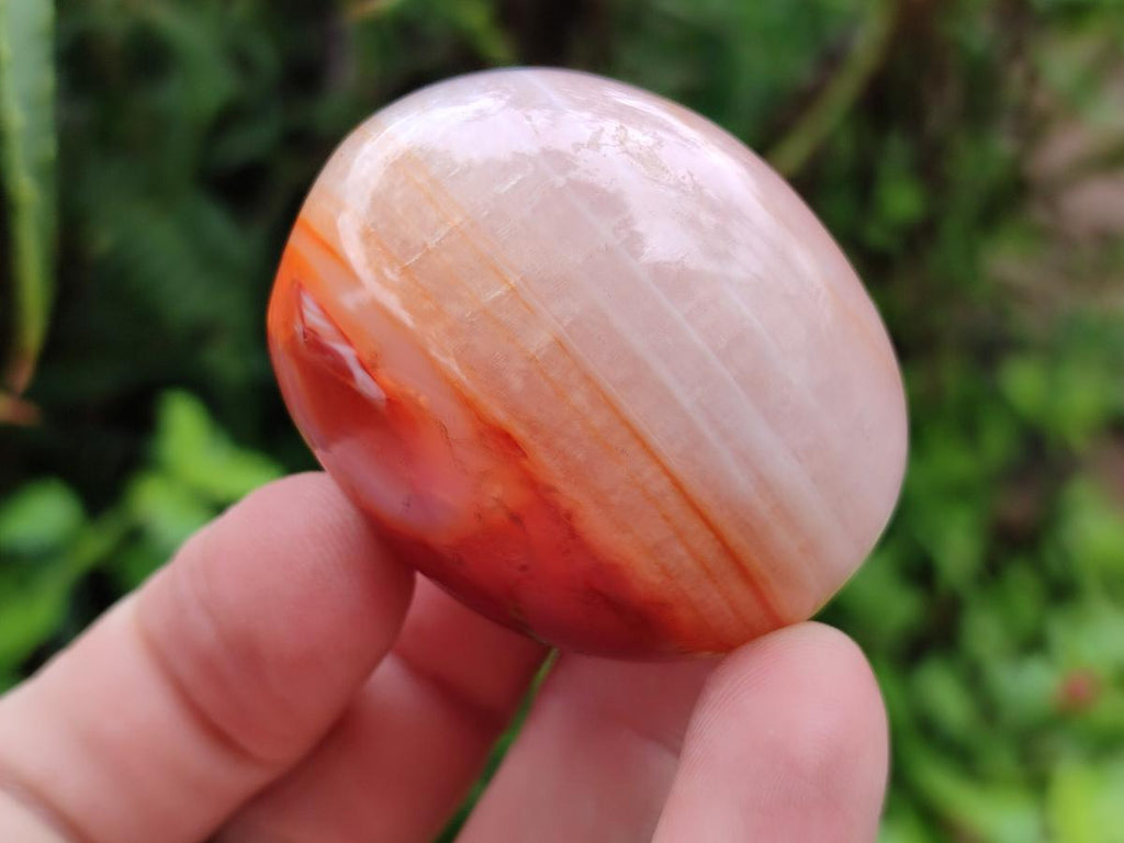 Polished Carnelian Agate Gemstone Galets x 20 From Madagascar