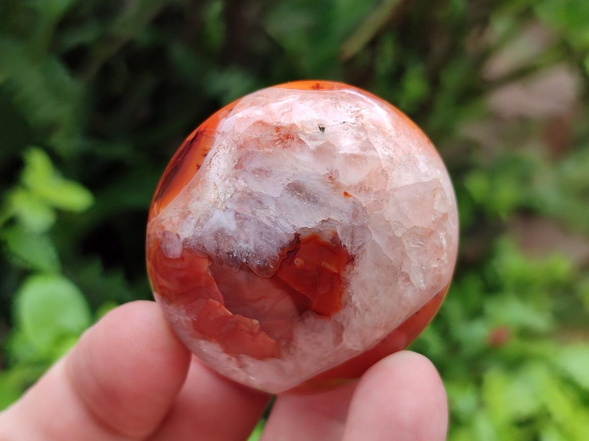 Polished Carnelian Agate Gemstone Galets x 20 From Madagascar