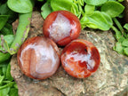 Polished Carnelian Agate Gemstone Galets x 20 From Madagascar