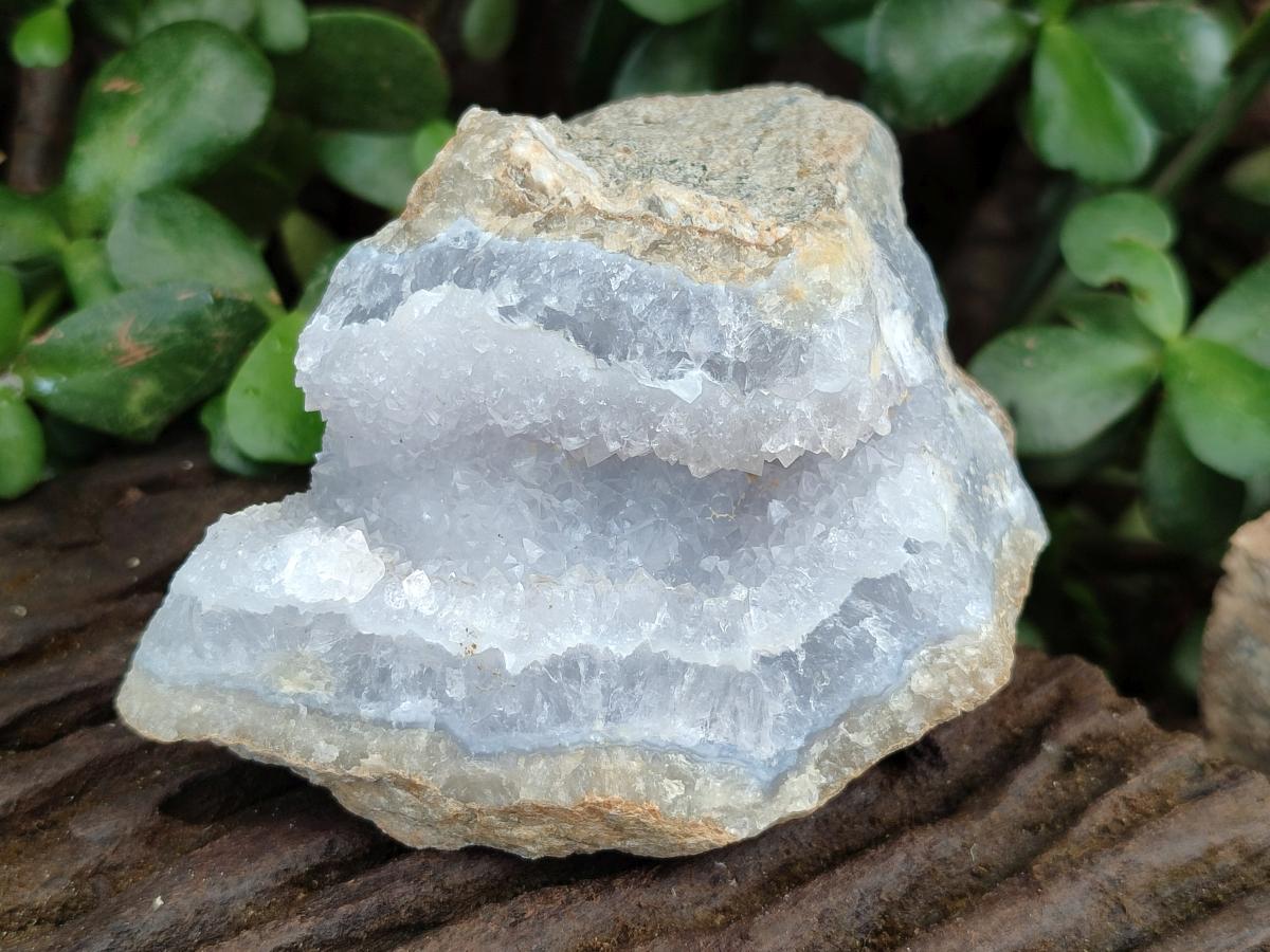 Natural Blue Lace Agate Geode Specimens x 12 From Nsanje, Malawi