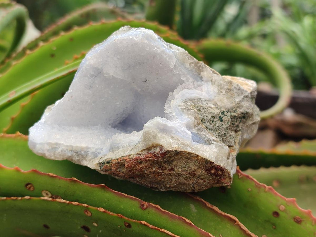 Natural Blue Lace Agate Geode Specimens x 12 From Nsanje, Malawi
