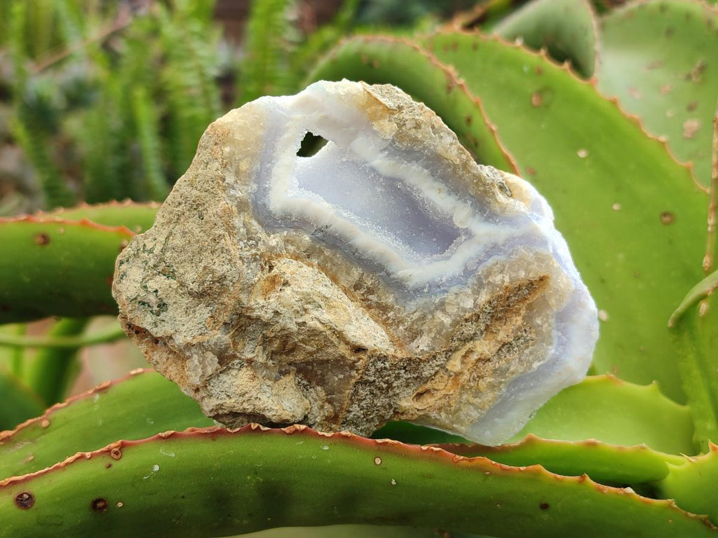 Natural Blue Lace Agate Geode Specimens x 12 From Nsanje, Malawi