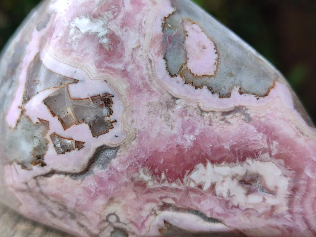 Polished Cobaltion Calcite in Dolomite Free Forms x 6 From Kakanda, Congo