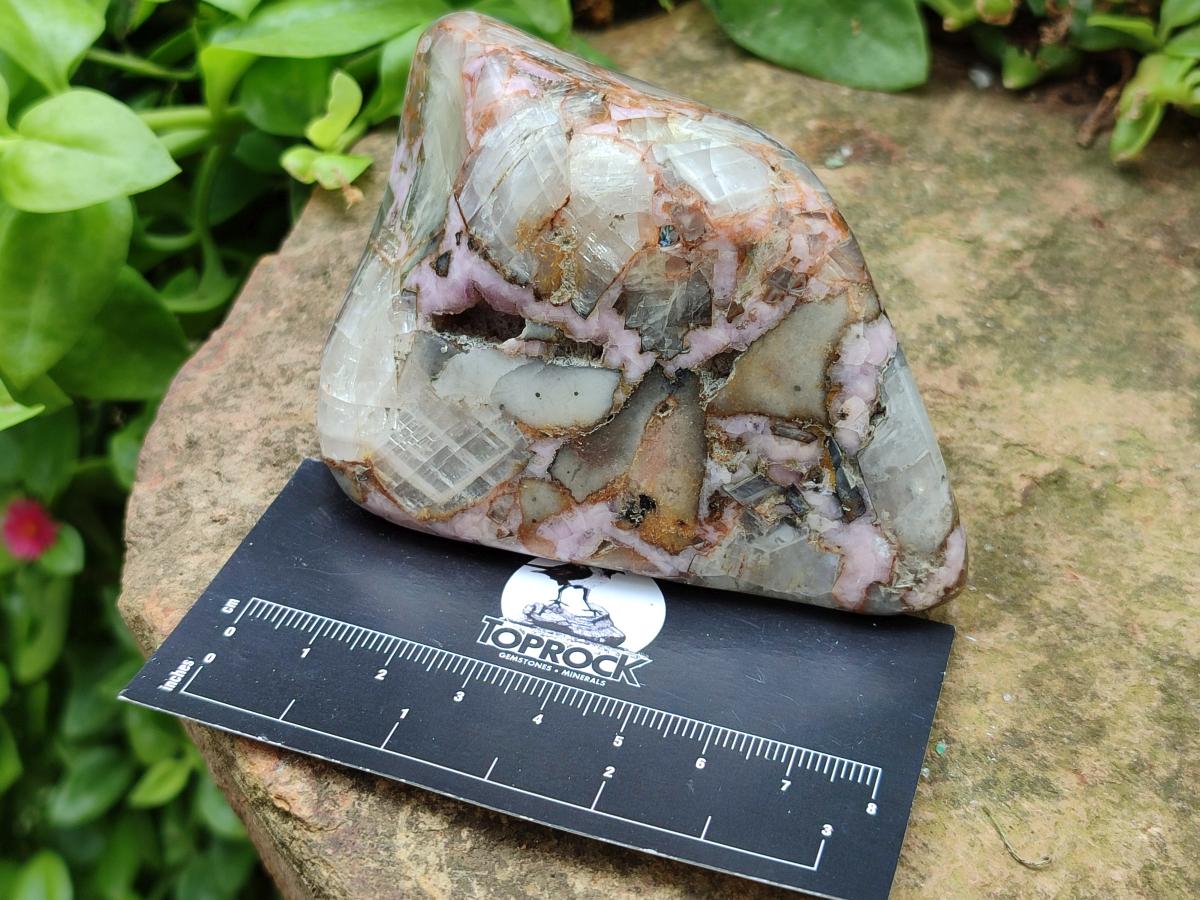 Polished Cobaltion Calcite in Dolomite Free Forms x 6 From Kakanda, Congo