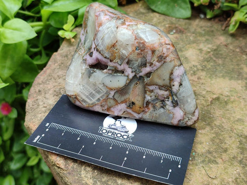 Polished Cobaltion Calcite in Dolomite Free Forms x 6 From Kakanda, Congo