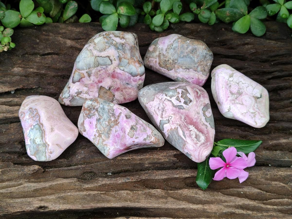 Polished Cobaltion Calcite in Dolomite Free Forms x 6 From Kakanda, Congo