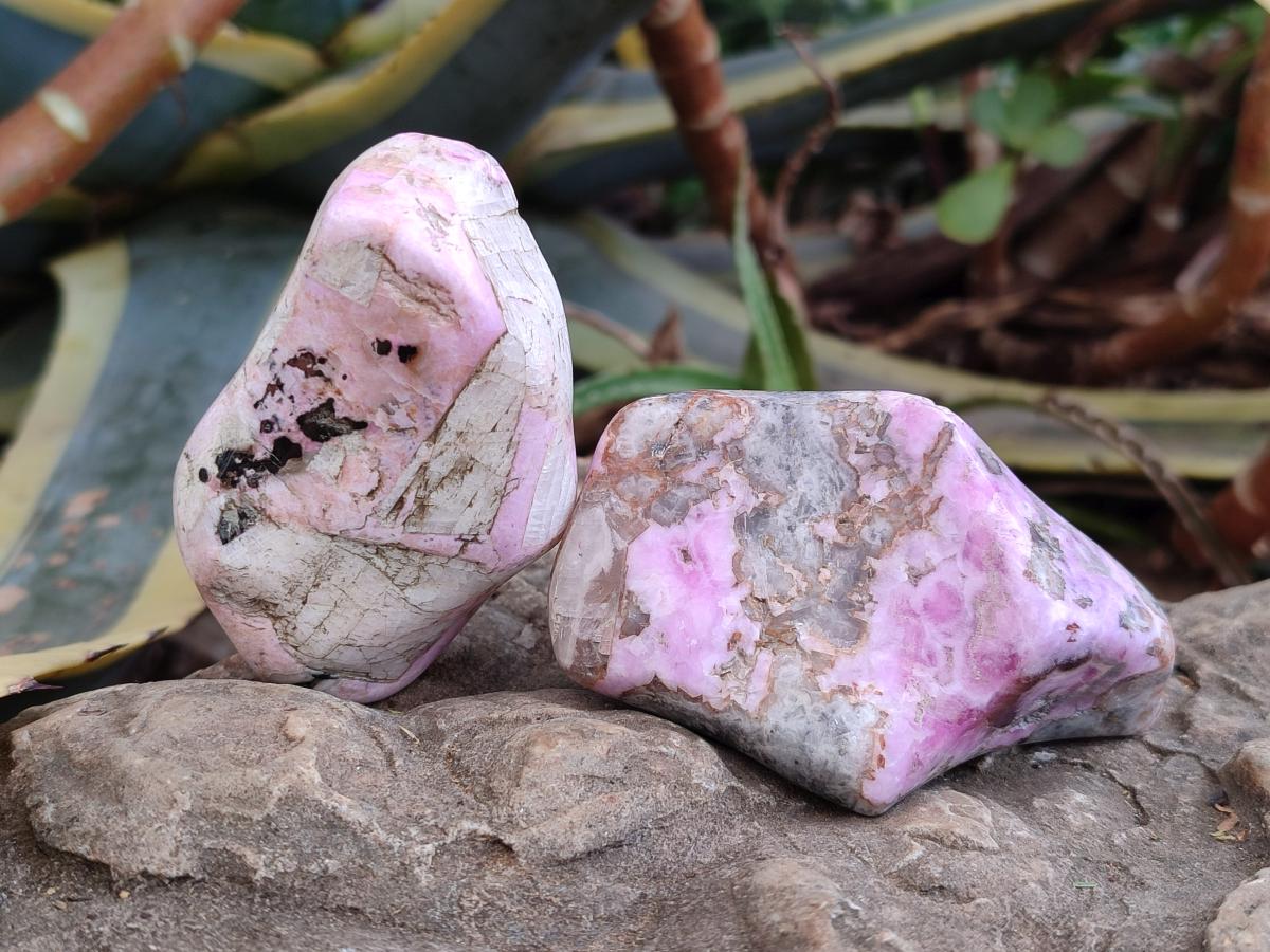 Polished Cobaltion Calcite in Dolomite Free Forms x 6 From Kakanda, Congo