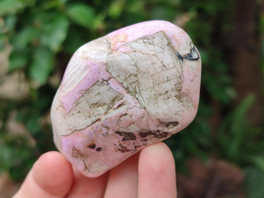 Polished Cobaltion Calcite in Dolomite Free Forms x 6 From Kakanda, Congo