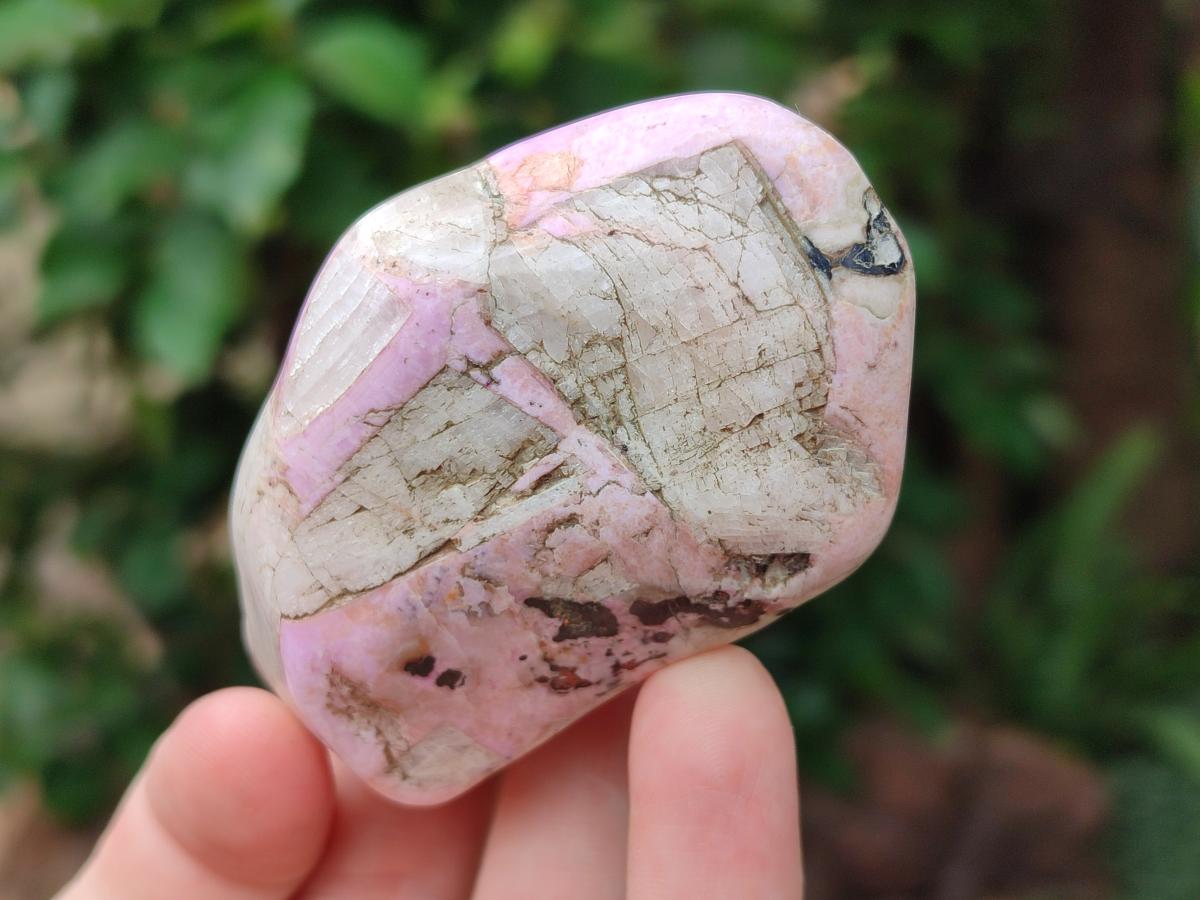 Polished Cobaltion Calcite in Dolomite Free Forms x 6 From Kakanda, Congo