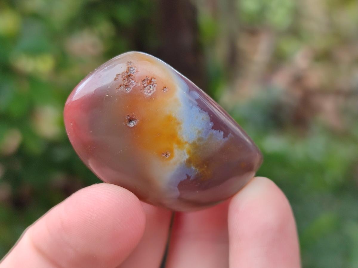 Polished Red Shashe River Agate Free Forms x 35 From Shashe River, Zimbabwe