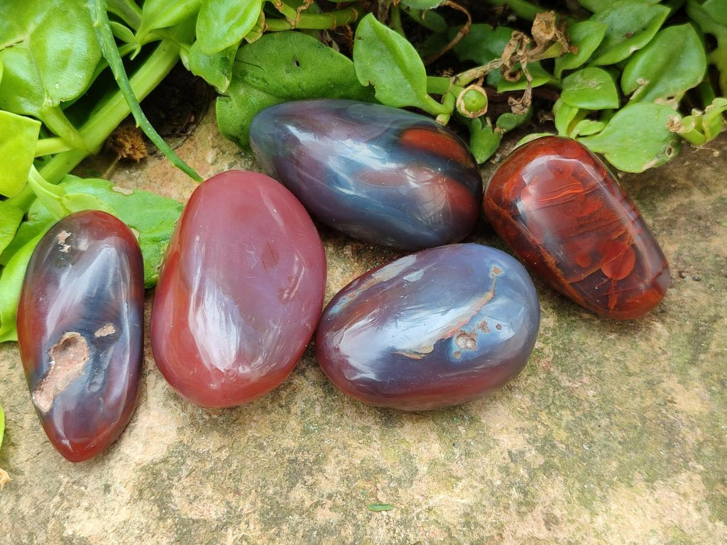 Polished Red Shashe River Agate Free Forms x 35 From Shashe River, Zimbabwe