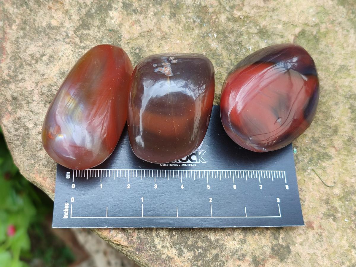 Polished Red Shashe River Agate Free Forms x 35 From Shashe River, Zimbabwe
