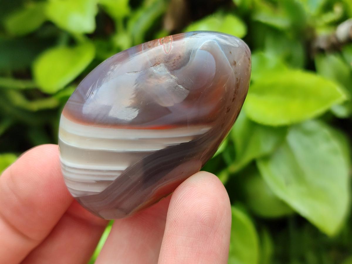 Polished Red Shashe River Agate Free Forms x 35 From Shashe River, Zimbabwe