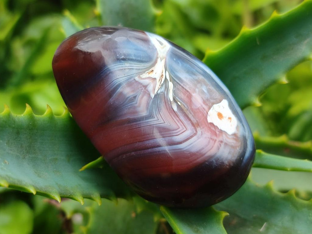 Polished Red Shashe River Agate Free Forms x 35 From Shashe River, Zimbabwe