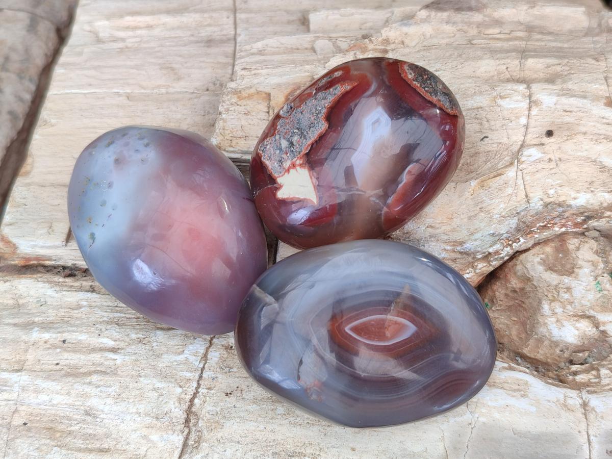 Polished Red Shashe River Agate Free Forms x 35 From Shashe River, Zimbabwe