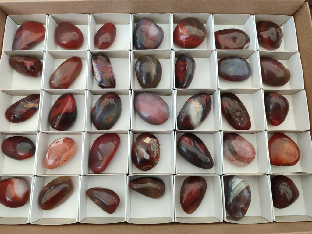 Polished Red Shashe River Agate Free Forms x 35 From Shashe River, Zimbabwe