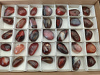 Polished Red Shashe River Agate Free Forms x 35 From Shashe River, Zimbabwe