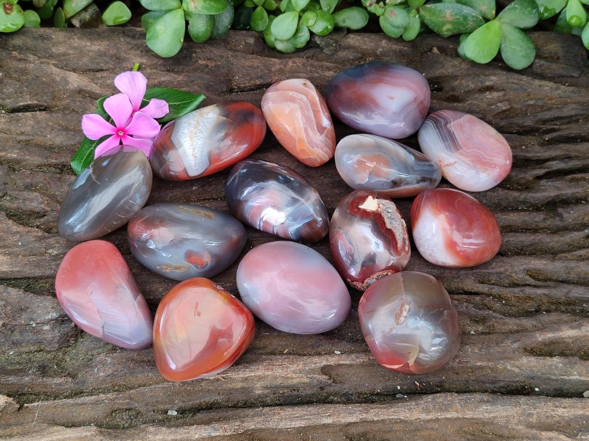 Polished Red Shashe River Agate Free Forms x 35 From Shashe River, Zimbabwe