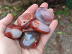 Polished Red Shashe River Agate Free Forms x 35 From Shashe River, Zimbabwe