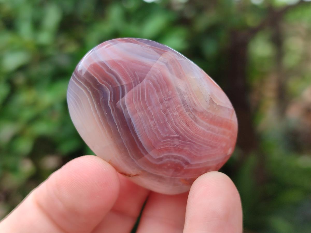 Polished Red Shashe River Agate Free Forms x 35 From Shashe River, Zimbabwe