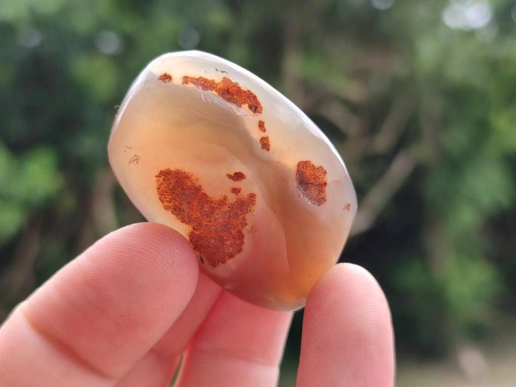 Polished Red Shashe River Agate Free Forms x 35 From Shashe River, Zimbabwe