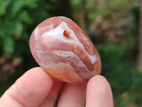 Polished Red Shashe River Agate Free Forms x 35 From Shashe River, Zimbabwe