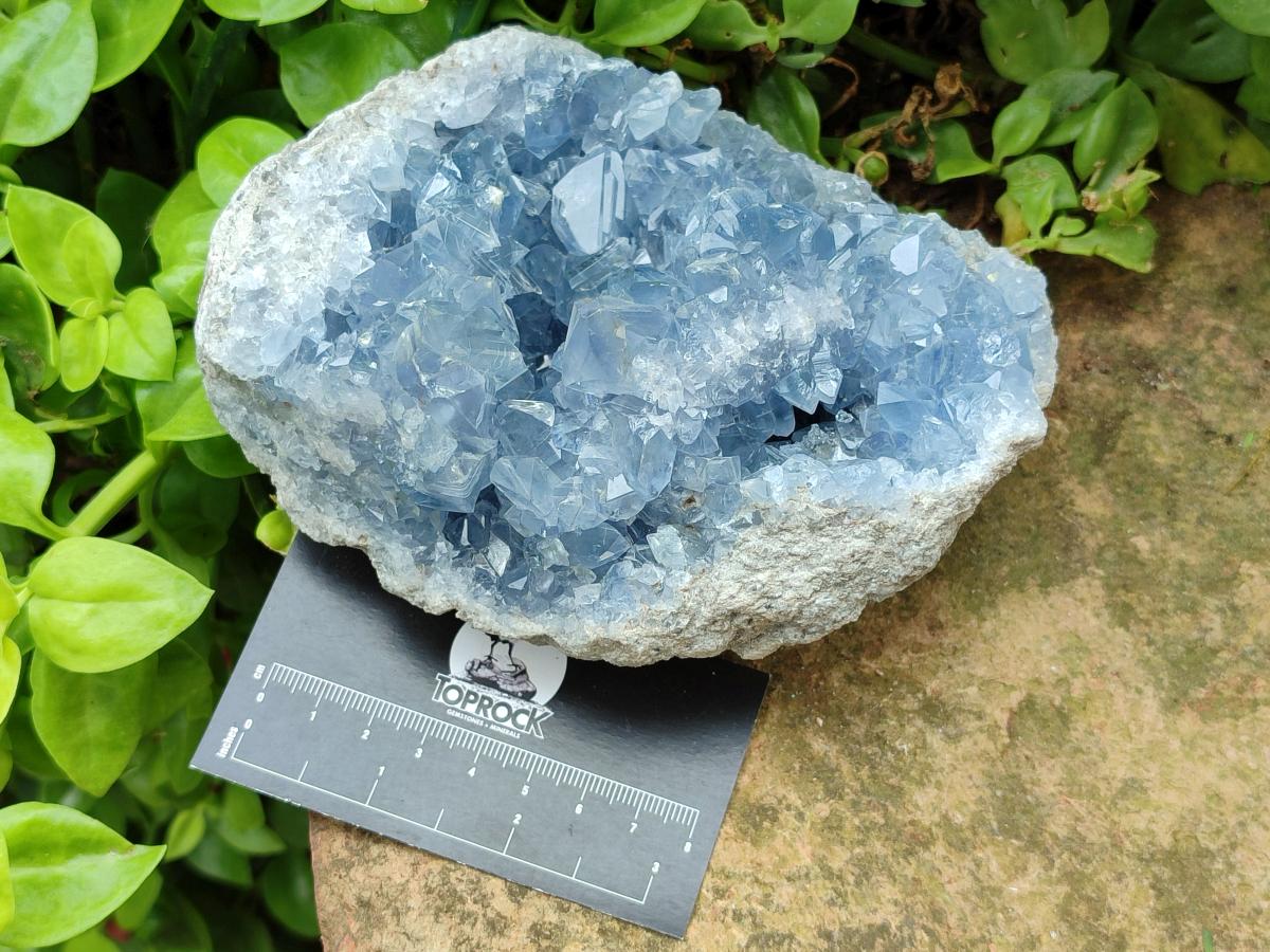 Natural Large Blue Celestite Geode Cluster Specimen x 1 From Sakoany, Madagascar