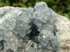 Natural Large Blue Celestite Geode Cluster Specimen x 1 From Sakoany, Madagascar