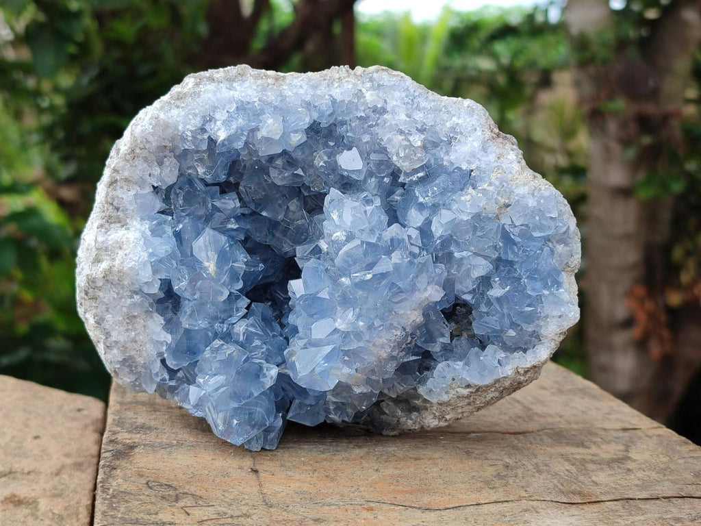 Natural Large Blue Celestite Geode Cluster Specimen x 1 From Sakoany, Madagascar